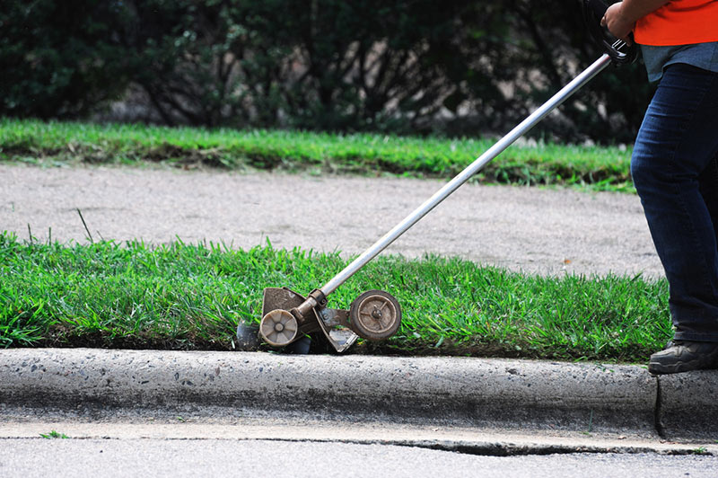 Best Lawn Edgers