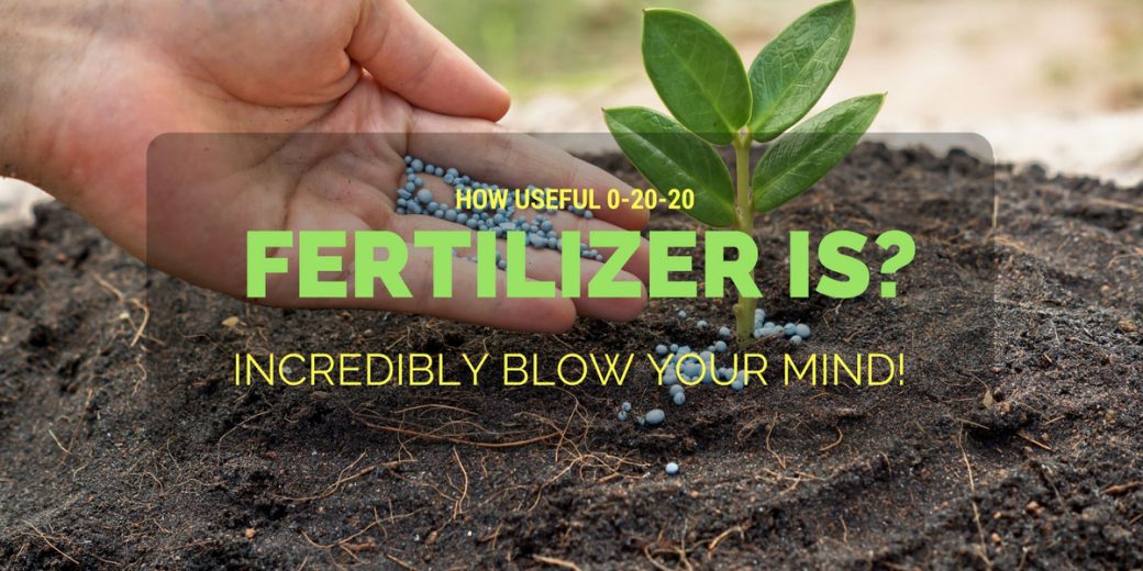 fertilizers