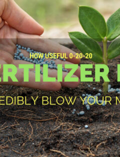 How Useful 0-20-20 Fertilizer Is