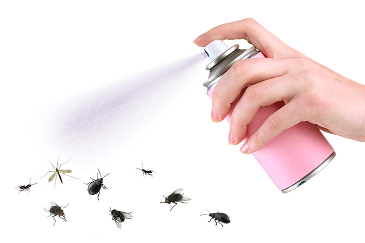how to get rid of crane flies with essential oils