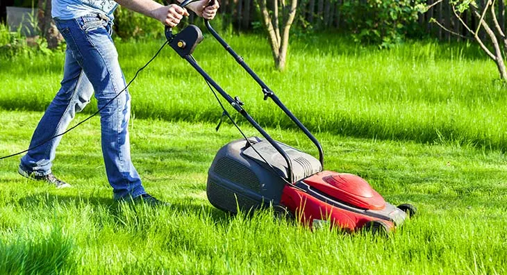when is the best time to mow new grass