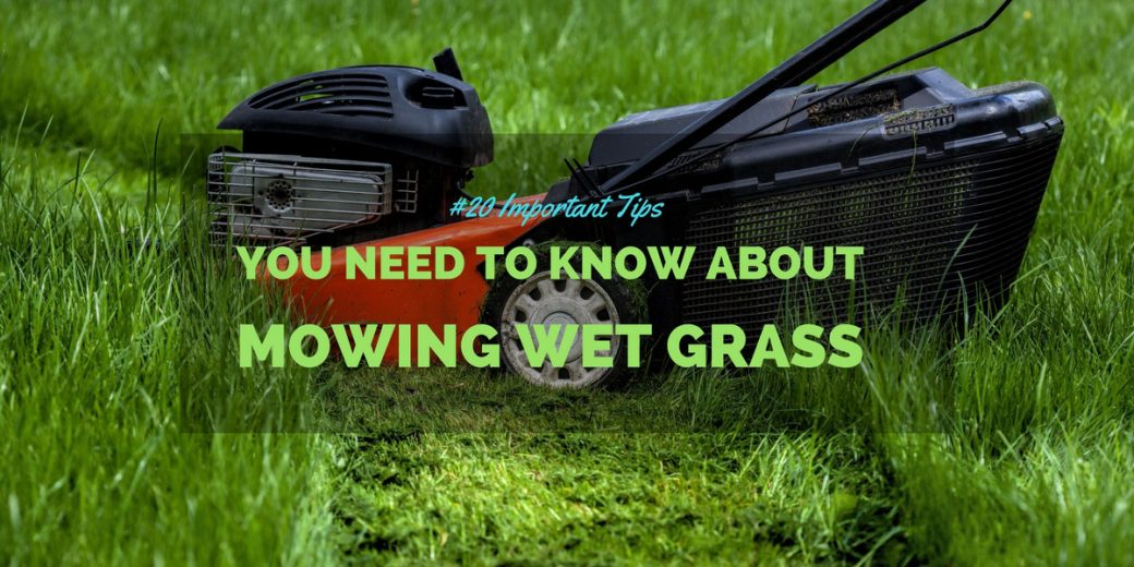 Mowing Wet Grass? Here Are The Top 20 Tips To Know!
