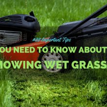 mowing-wet-grass-fea