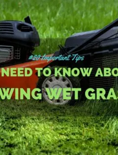 mowing wet grass