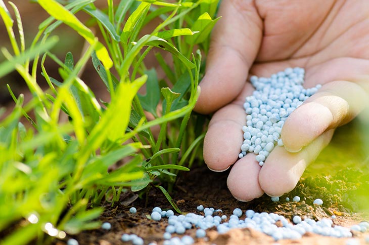 Fertilizer - Best Soil Mix For Raised Beds