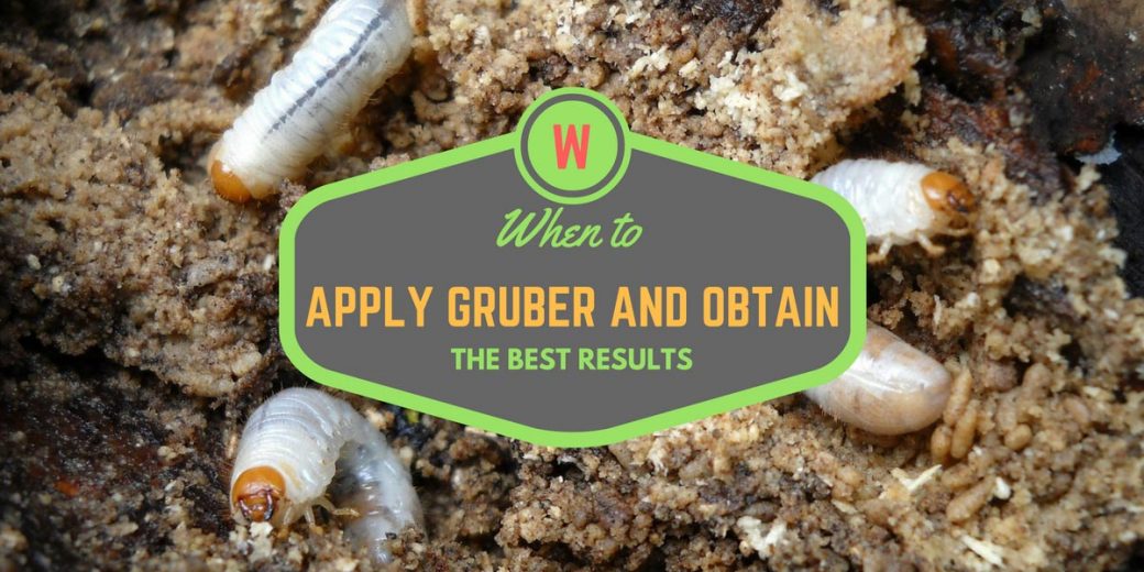 apply-grubex2
