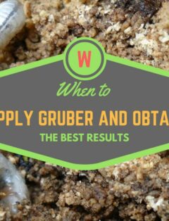 When to Apply Grubex