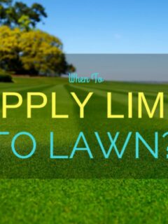 When To Apply Lime To Lawn