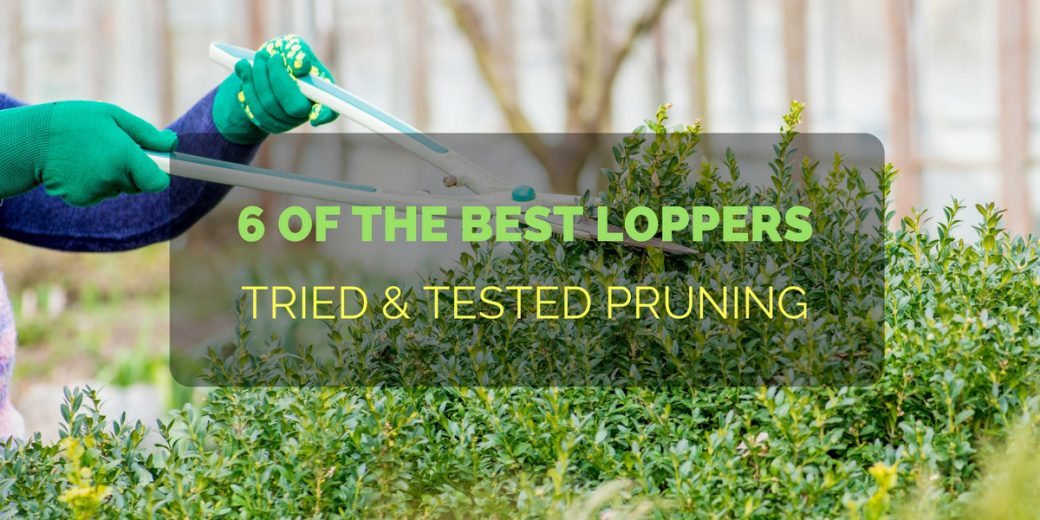 best-loppers