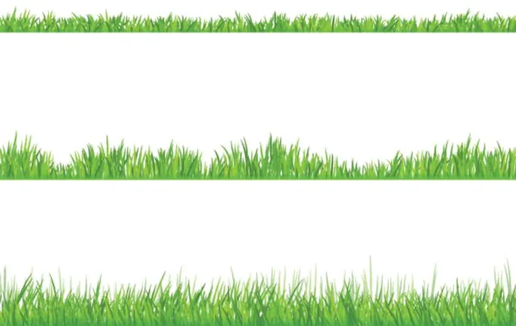 When to Mow New Grass when to mow new grass with straw