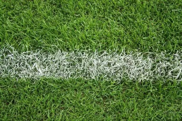 When To Apply Lime To Lawn When To Apply Lime To Lawn