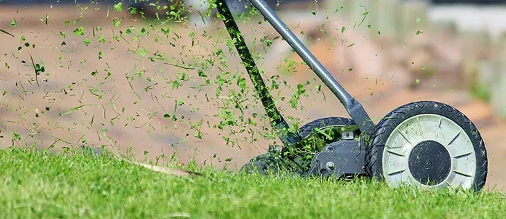 mowing wet grass with reel mower