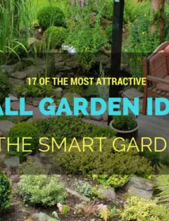 Smart Small Garden Ideas