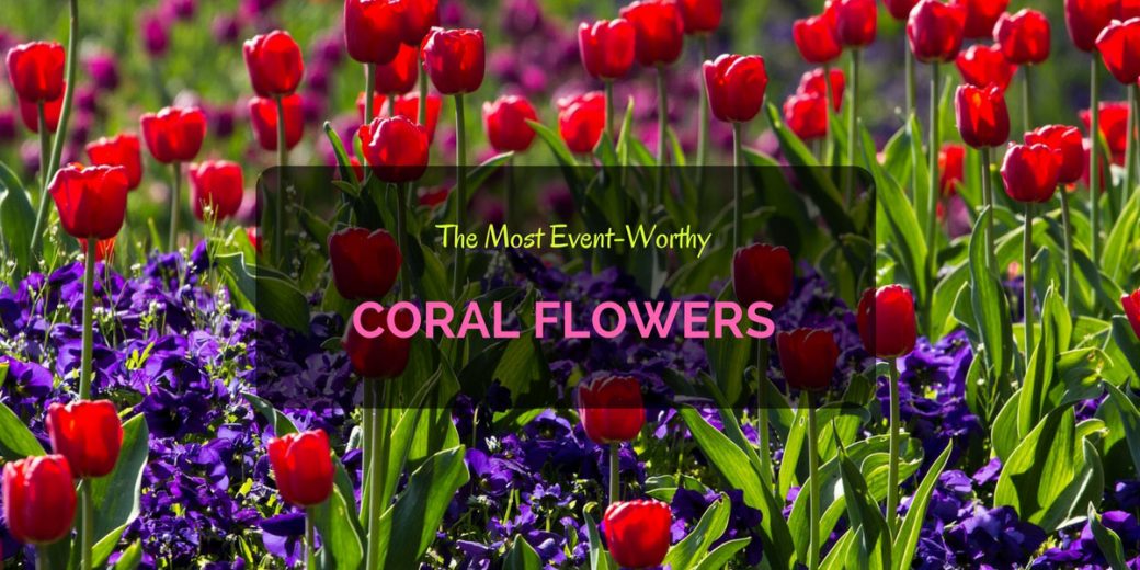 Coral-Flowers