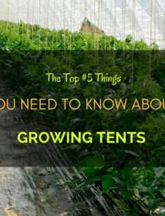 Growing Tents