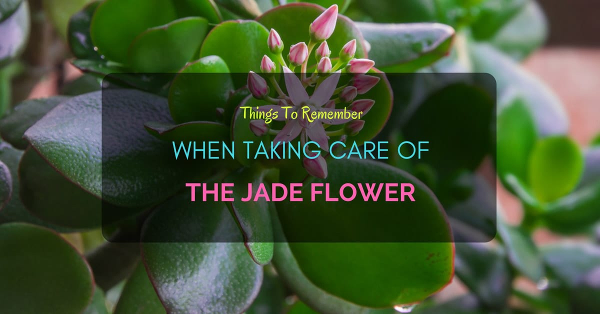 Jade Flower