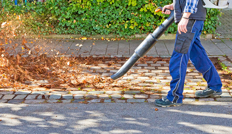 Best Backpack Blower
