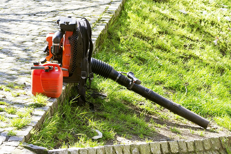 Best Backpack Blower