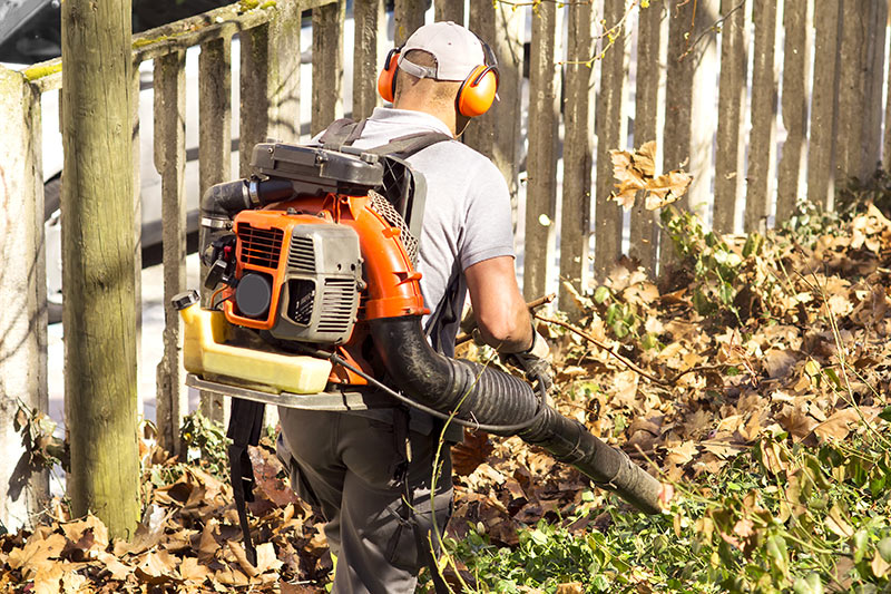 Best Backpack Blower