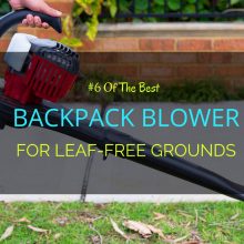Best-Backpack-Blower