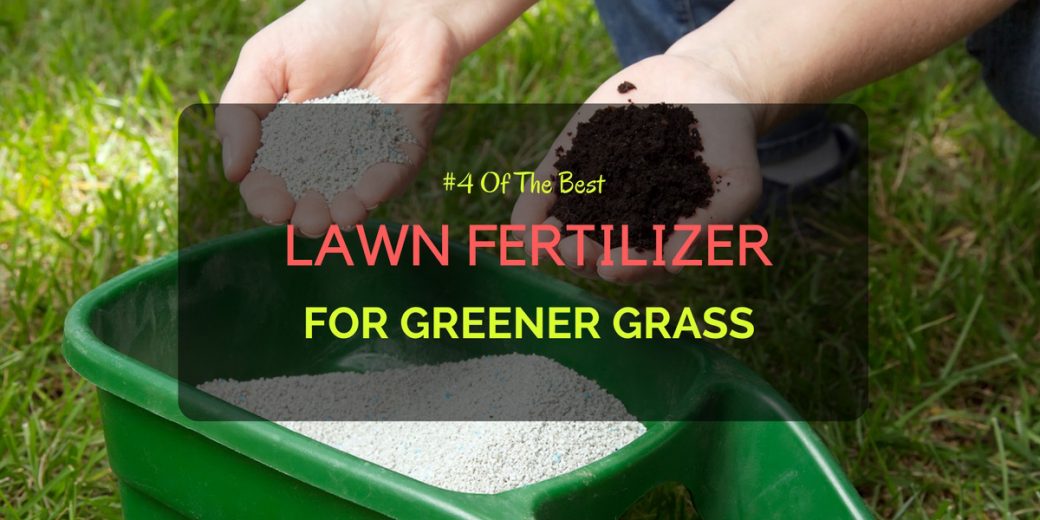 4 Of The Best Lawn Fertilizer For Greener Gr