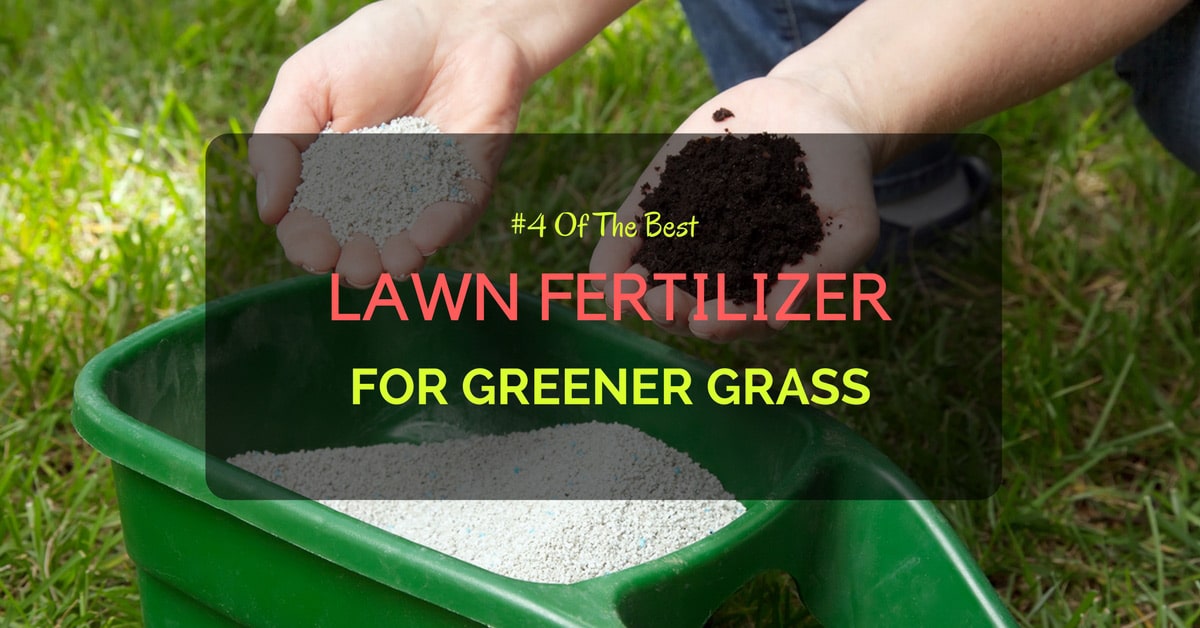 Best Lawn Fertilizer >> 4 Of The Best Lawn Fertilizer For Greener Grass Best Lawn Fertilizer >> 4 Of The Best Lawn Fertilizer For Greener Grass