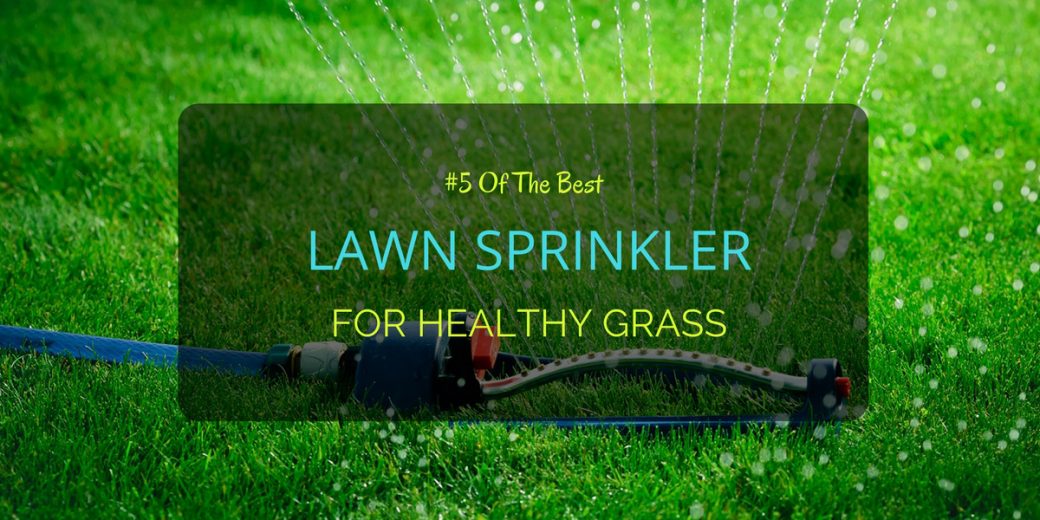 Best-Lawn-Sprinkler-2