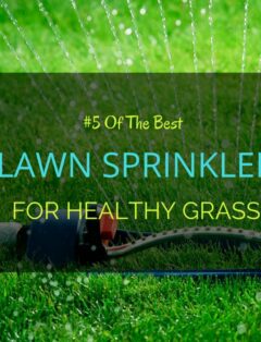 Best Lawn Sprinkler 2