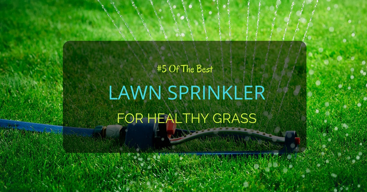 5 Of The Best Lawn Sprinkler For Healthy Grass