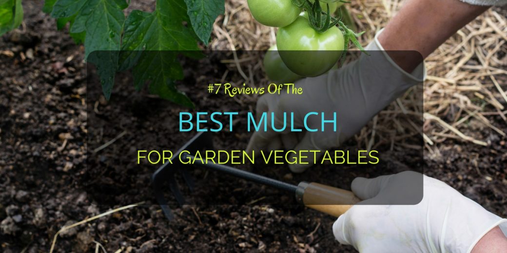 7 Reviews Of The Best Mulch For Garden Vegetables
