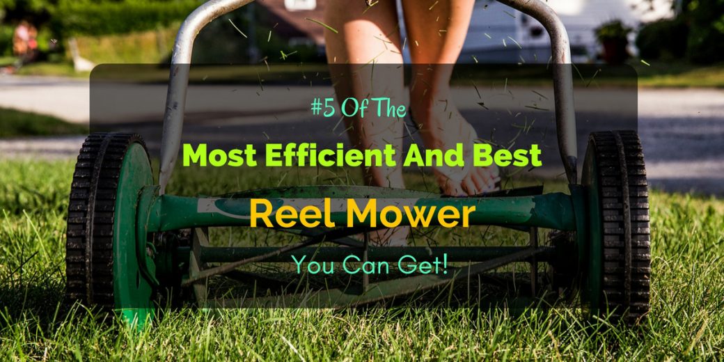 Best-Reel-Mower