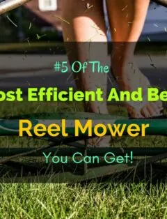 Best Reel Mower
