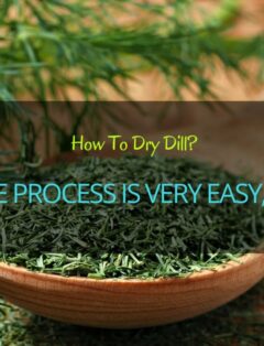 How To Dry Dill