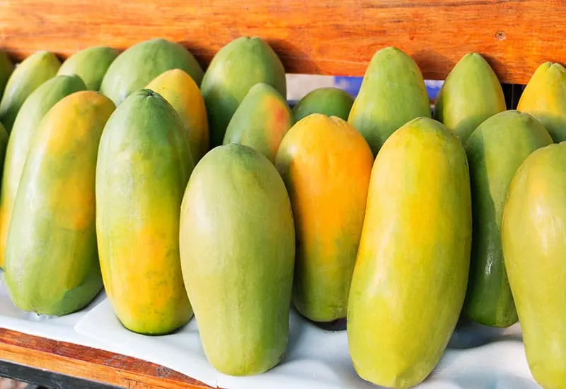 how to tell when a papaya is ripe