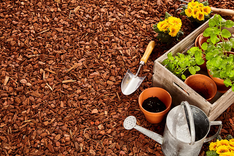 Best Mulch For Garden Vegetables