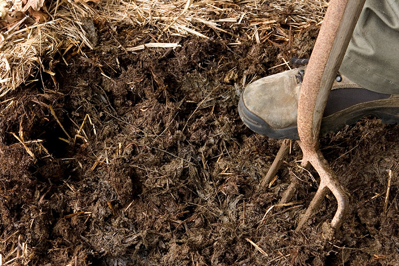 Best Mulch For Garden Vegetables