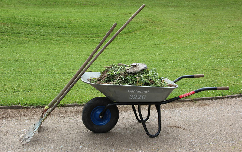 Best Wheelbarrow
