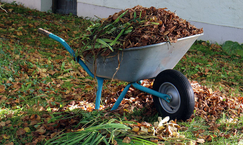 Best Wheelbarrow