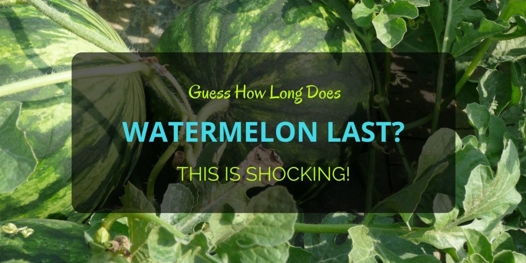 Watermelon-2