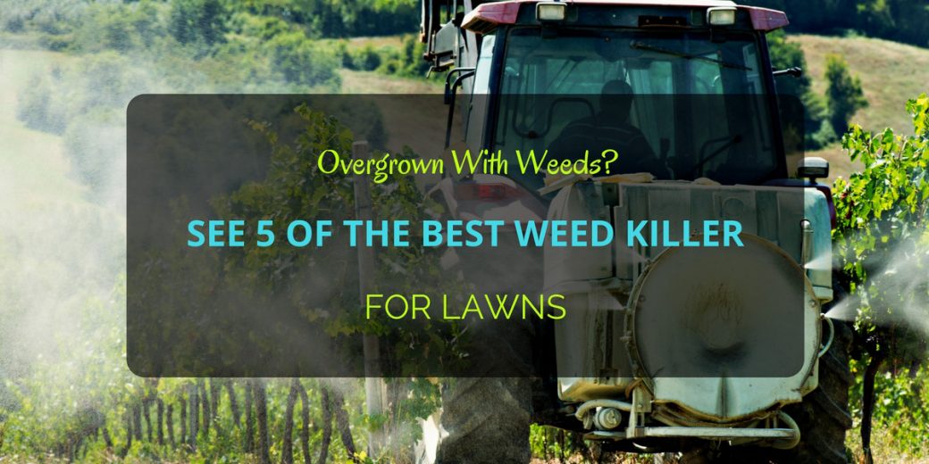 Best-Weed-Killer