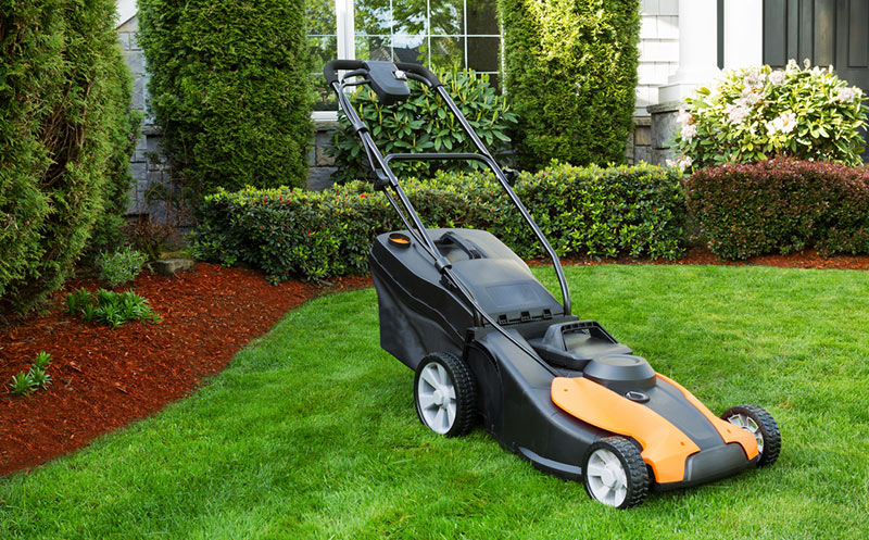 Electric Lawn Mower Reviews