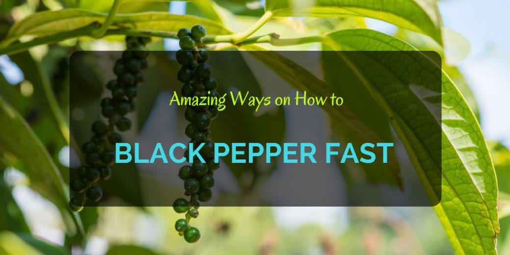 Grow-Black-Pepper