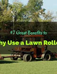 Why Use a Lawn Roller