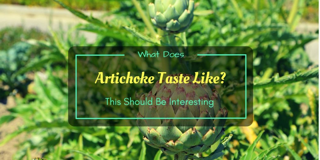 What Does Artichoke Taste Like? This Should Be Interesting ...