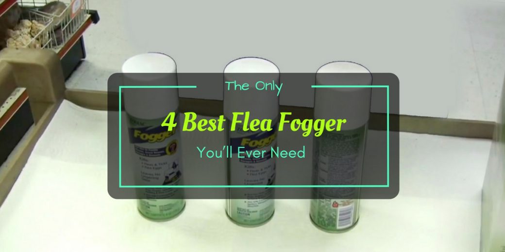 Best-Flea-Fogger