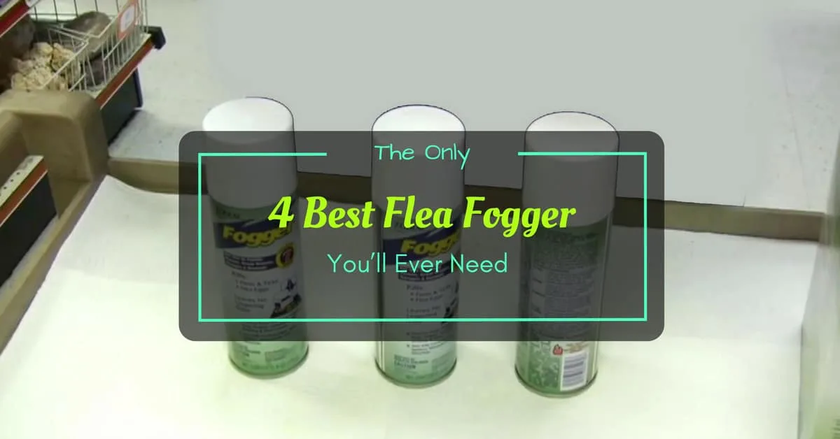 Best Flea Fogger