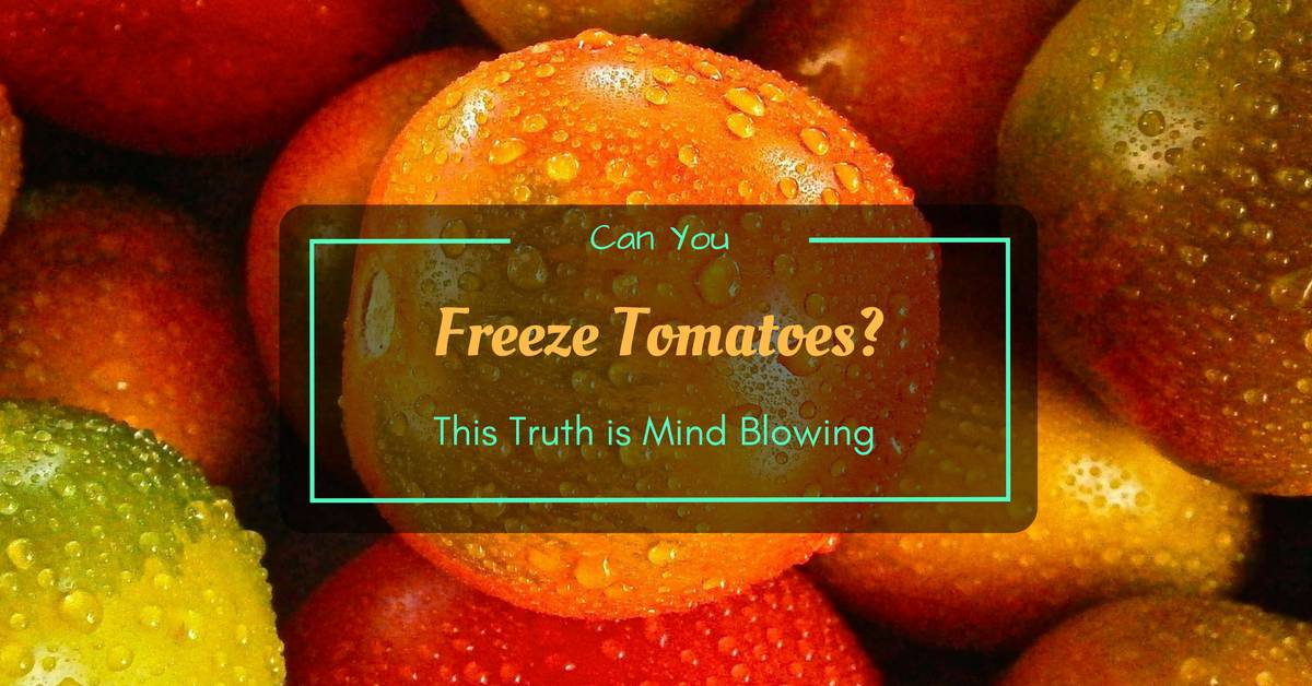 Freeze Tomatoes 1