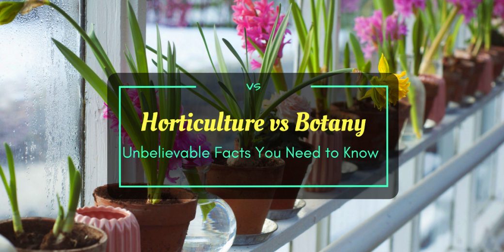 Horticulture-vs-Botany