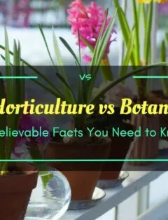 Horticulture vs Botany