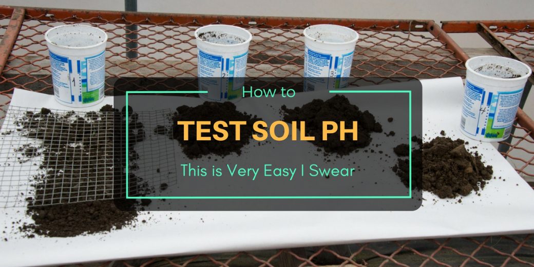 How-to-Test-Soil-pH-2
